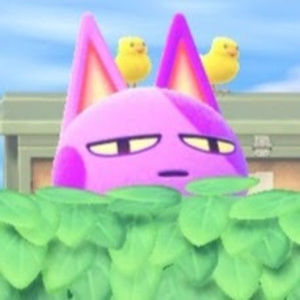 Meet your Posher, Todd